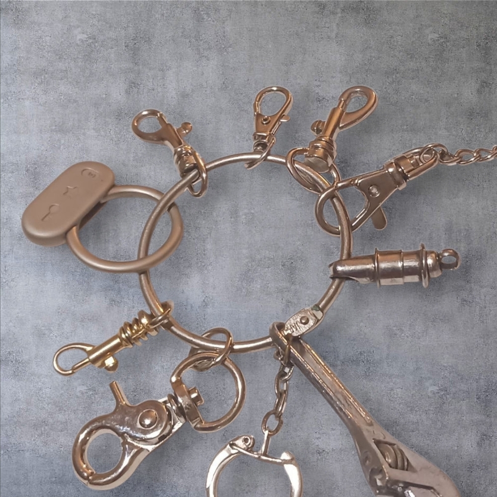 Silver And Gold Colored Key Ring Set Plus 6 Swivel Clasps Various Sizes.